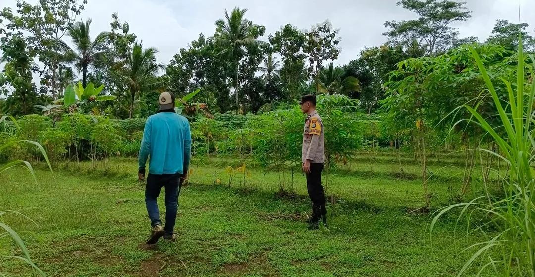 Polisi Penggerak Desa Watukarung Aktif Laksanakan Cek dan Monitoring Lahan Pertanian Warga Dukung Ketahanan Pangan