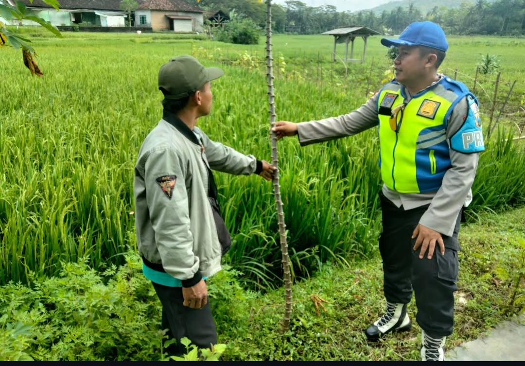 Polres Pacitan Melalui Polisi Penggerak Desa Ketepung Cek dan Monitoring Pertanian Dukung Program Ketahanan Pangan