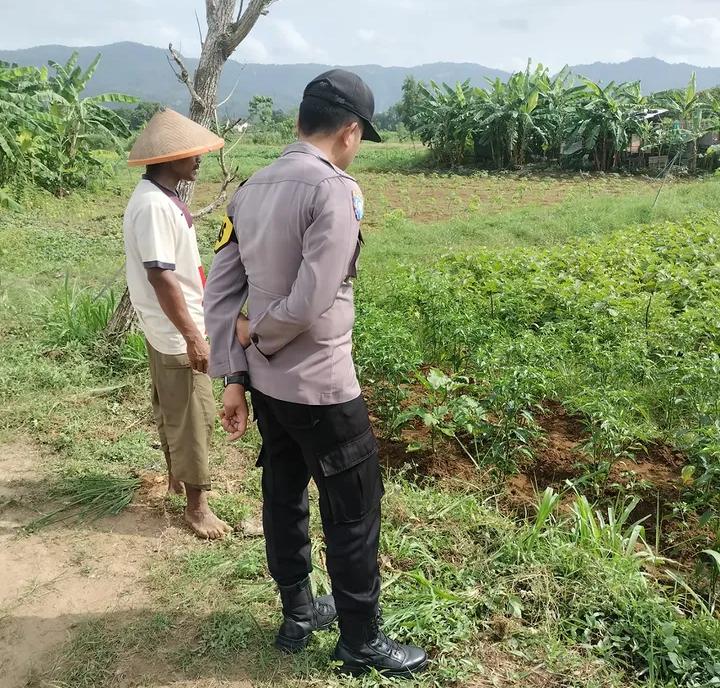 Polisi Penggerak Desa Tanjungsari Konsisten Cek dan Monitoring Pertanian Cabai Dukung Program Asta Cita