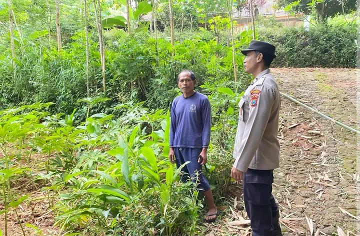 Polisi Penggerak Desa Tumpuk, Bandar Konsisten Cek dan Monitoring Pertanian Dukung Program Asta Cita