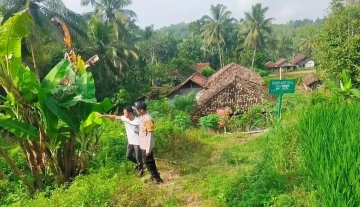 Polisi Penggerak Desa Sedeng Cek dan Monitoring Pertanian Jagung Dukung Ketahanan Pangan