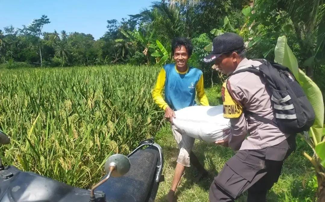 Tak Hanya Memelihara Keamanan, Polisi Penggerak Aktif ke Sawah Dampingi Petani Dukung Ketahanan Pangan