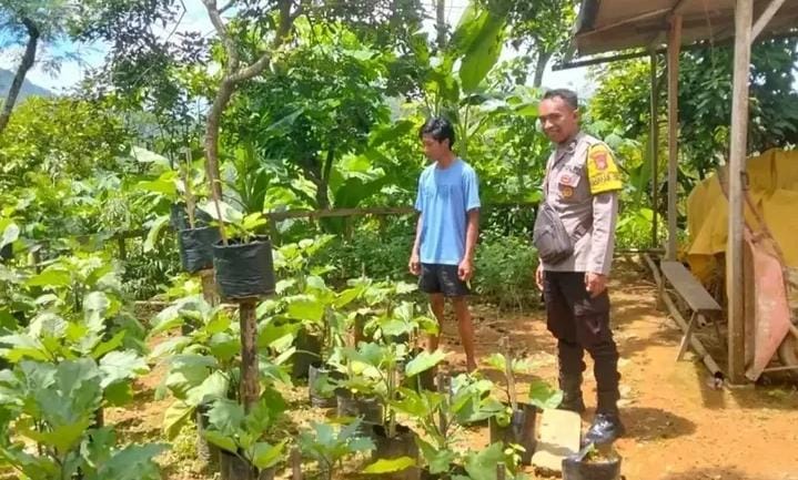Polres Pacitan Serius Dukung Program Asta Cita, Polisi Penggerak Desa Klepu Sudimoro Cek dan Monitoring Lahan Pertanian