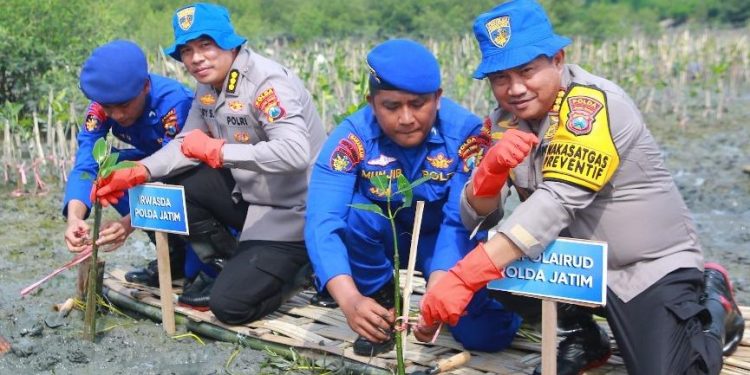 Gerakan Penanaman Mangrove, Dirpolairud Polda Jatim: Komitmen untuk Lingkungan Pesisir