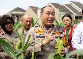Kapolresta Malang Kota: Dukung Program Ketahanan Pangan Nasional, Panen Raya Tahap Pertama Capai 1,8 Ton Jagung