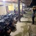 Polres Pacitan Sikat Balap Liar di Ngadirojo, 13 Motor Diamankan